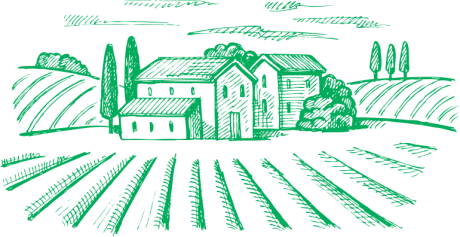 Farm Illustration